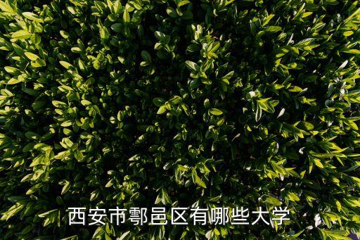 西安鄠邑,西安邑區有哪些大學?