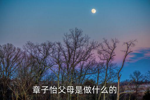 章子怡小時候，章子怡的家庭背景