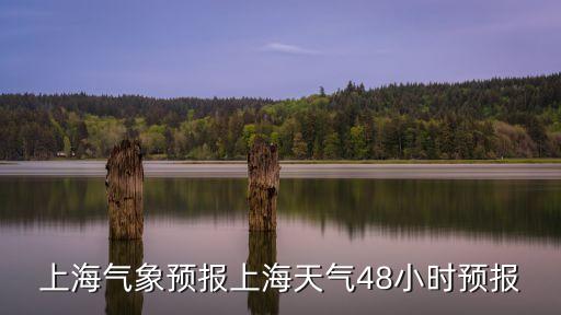 天氣上海,上海天氣陰天小雨轉(zhuǎn)多云