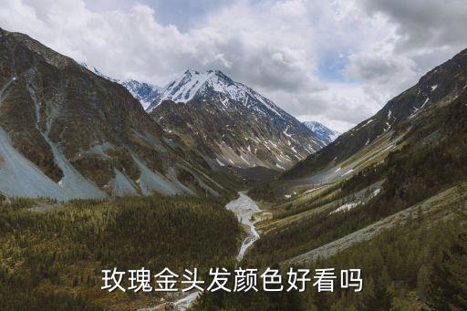 玫瑰金頭發顏色好看嗎
