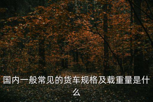 重型貨車,什么是重型特殊結(jié)構(gòu)貨車?