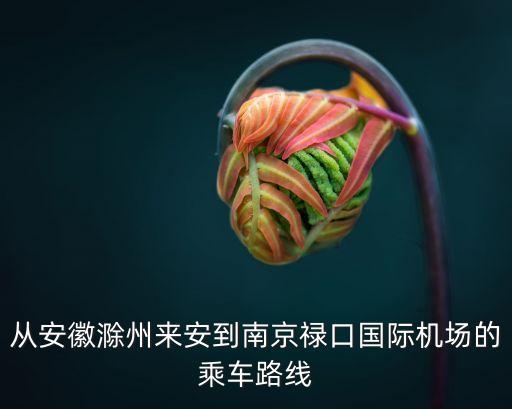 滁州機場,從安徽滁州來安到南京祿口機場乘車路線出爐