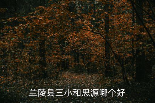 思源小學,思源中學錄取分數線下滑至535分