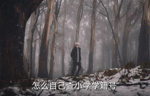 怎么自己查小學學籍號
