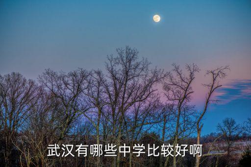 武漢有哪些中學(xué)比較好啊