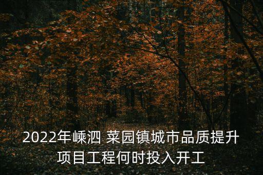 2022年嵊泗 菜園鎮城市品質提升項目工程何時投入開工