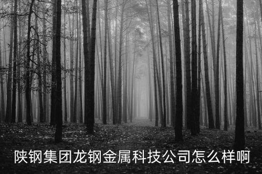 陜鋼集團,陜西鋼鐵集團和陜西鐵路投資集團劃入陜煤兩個新產業板塊