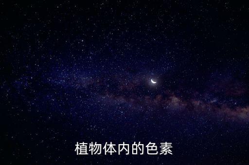 植物體內的色素