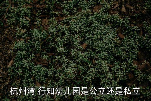 杭州灣 行知幼兒園是公立還是私立