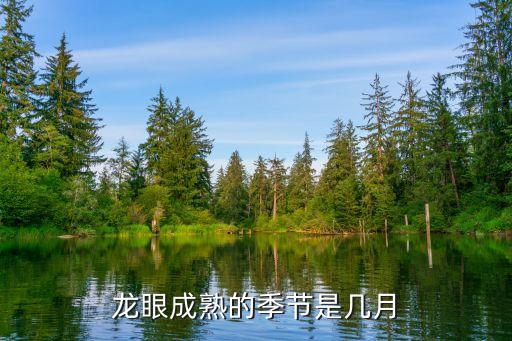 桂圓什么時候成熟,桂圓什么時候上市?一般在夏季7月份成熟