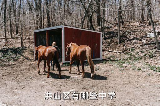 湖北大學(xué)附屬中學(xué),武漢十所中學(xué)排名出爐湖北大學(xué)附屬中學(xué)名列前茅