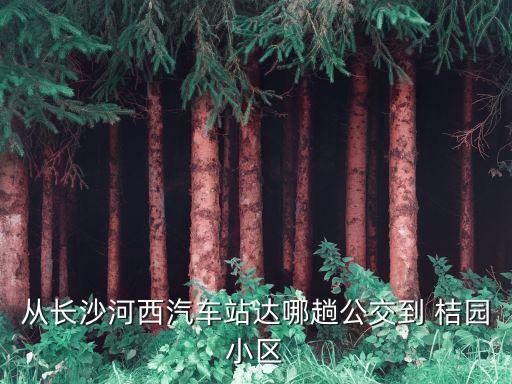 桔園小區(qū),從桔園小區(qū)到洋湖濕地公園路公交線(xiàn)路:123路→4路