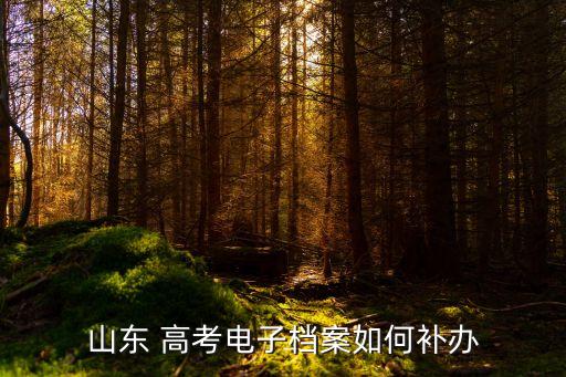 高考電子檔案,高考電子檔案丟了怎么辦?
