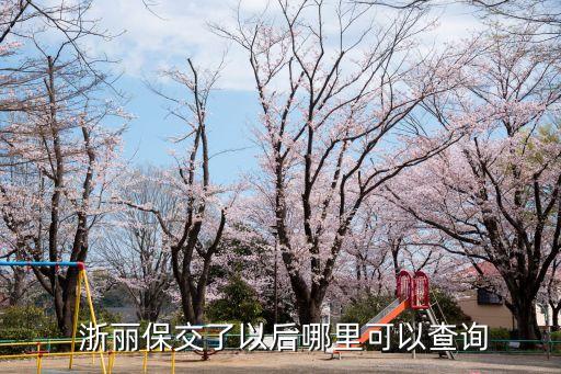  浙麗保交了以后哪里可以查詢