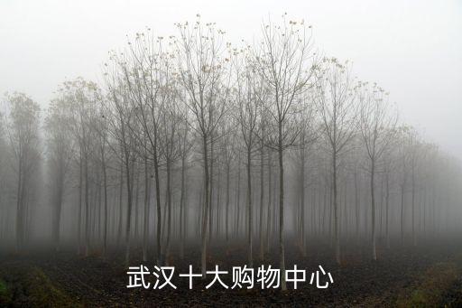 武漢商場排名,武漢十大購物中心之一武廣商圈