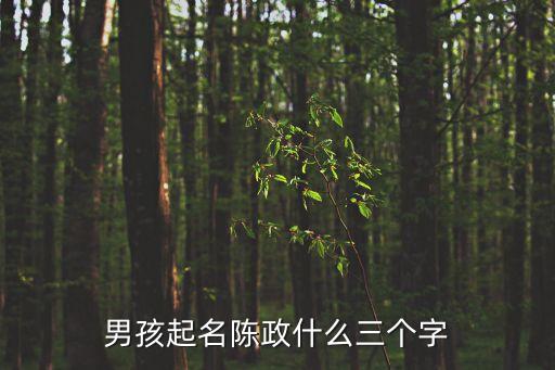 男孩起名陳政什么三個字