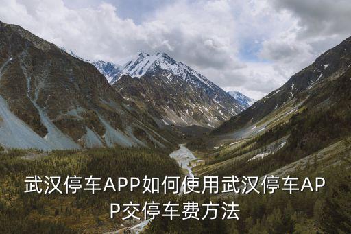 武漢停車APP如何使用武漢停車APP交停車費方法