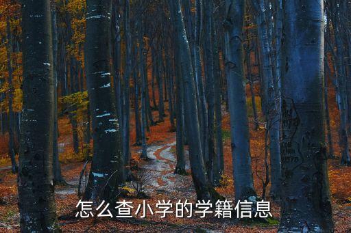 小學學籍查詢,小學學籍查詢網上查詢