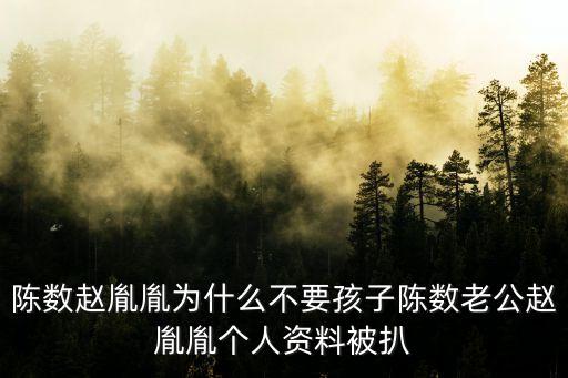 陳數趙胤胤為什么不要孩子陳數老公趙胤胤個人資料被扒