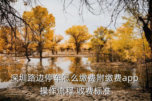 停車app,租停車位一般去哪個app?丁丁停車app