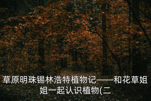 錫林浩特那達(dá)慕,那達(dá)慕會場在錫林浩特市以南?