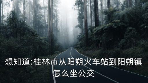 想知道:桂林市從陽(yáng)朔火車站到陽(yáng)朔鎮(zhèn)怎么坐公交