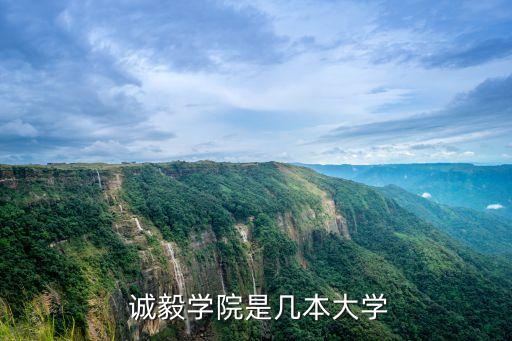 誠毅,長春市誠毅教育機構怎么辦?