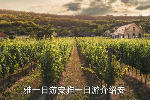 龍蒼溝游玩攻略,成都周邊游哪些景點適合孩子自駕游