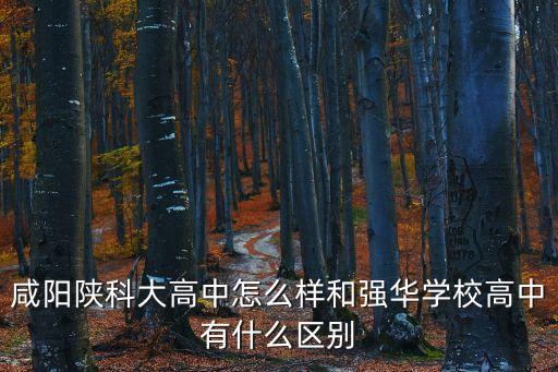 咸陽陜科大高中怎么樣和強華學校高中有什么區別