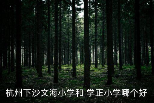 杭州下沙文海小學和 學正小學哪個好