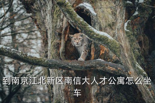 盤城公寓,南信大人才公寓怎么坐車?