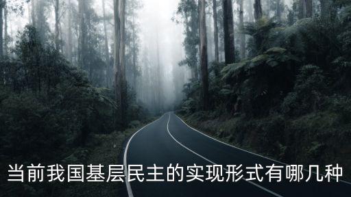 民主建設(shè)，當(dāng)前我國(guó)基層民主的實(shí)現(xiàn)形式有哪幾種