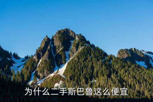 斯巴魯4s店,為什么二手斯巴魯這么便宜?