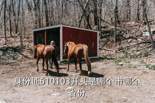 61開頭的身份證是哪里的,身份證開頭有何不同?