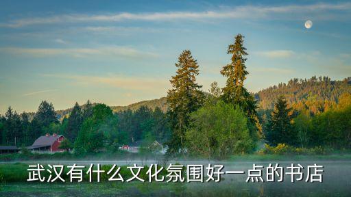 武漢有什么文化氛圍好一點的書店