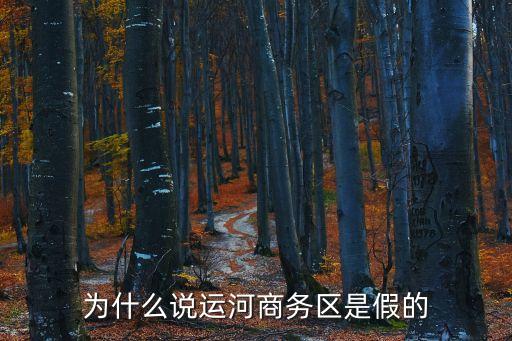 為什么說運河商務區是假的