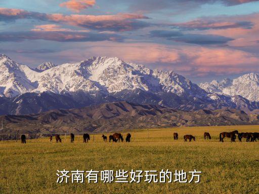 濟西濕地,怎么去濟西濕地?
