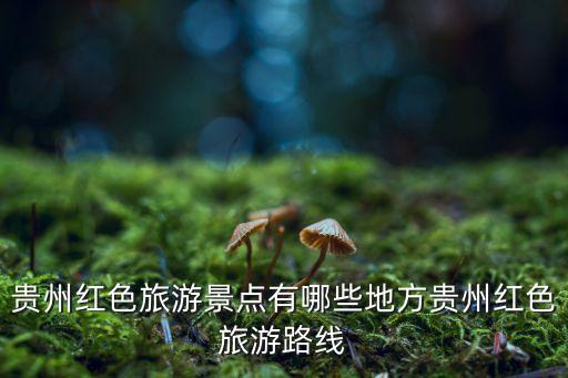 貴州紅色旅游景點有哪些地方貴州紅色旅游路線