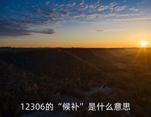 12306的“候補”是什么意思