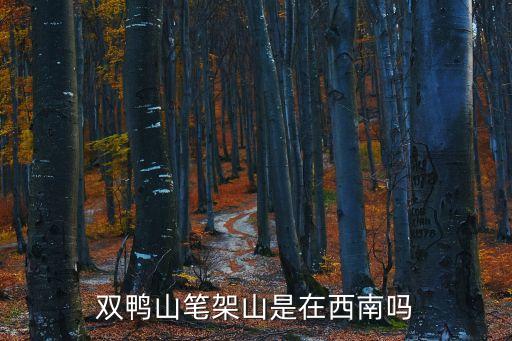 雙鴨山筆架山是在西南嗎