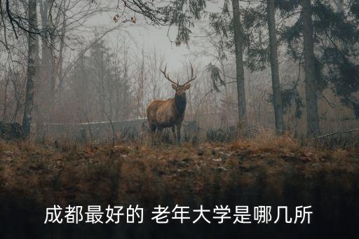 成都最好的 老年大學是哪幾所