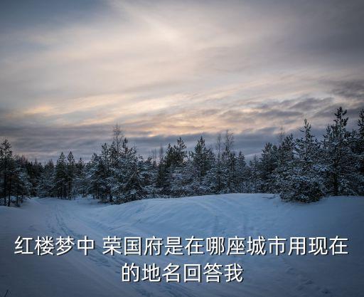 榮國府,《紅樓夢》榮國府是什么意思?