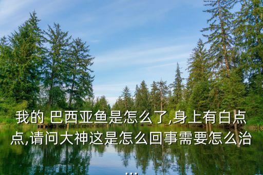 我的 巴西亞魚是怎么了,身上有白點點,請問大神這是怎么回事需要怎么治...