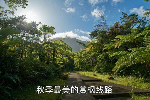 楓葉大道,秋季最美的賞楓線路推薦