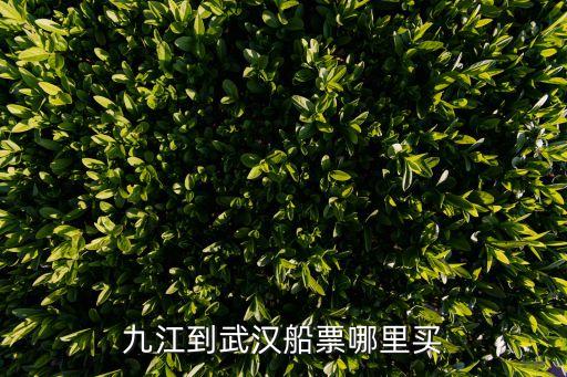 船票在哪買,上海到舟山的船票在哪買?