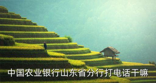 中國農(nóng)業(yè)銀行山東省分行打電話干嘛