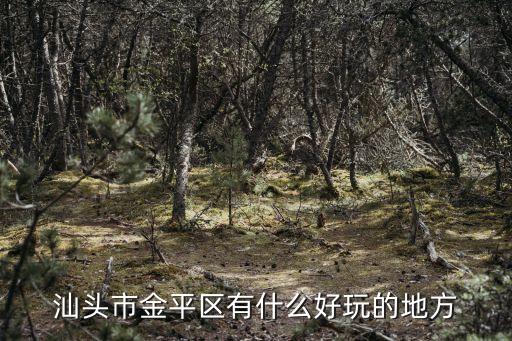汕頭市金平區(qū)有什么好玩的地方