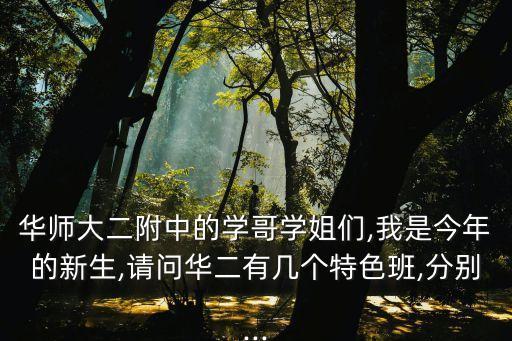 華二附中,華師大二附中紫竹校區新校區有多厲害?