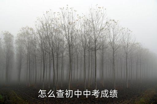 昌邑中考成績查詢,成績怎么查?