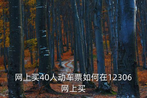 網上買40人動車票如何在12306網上買